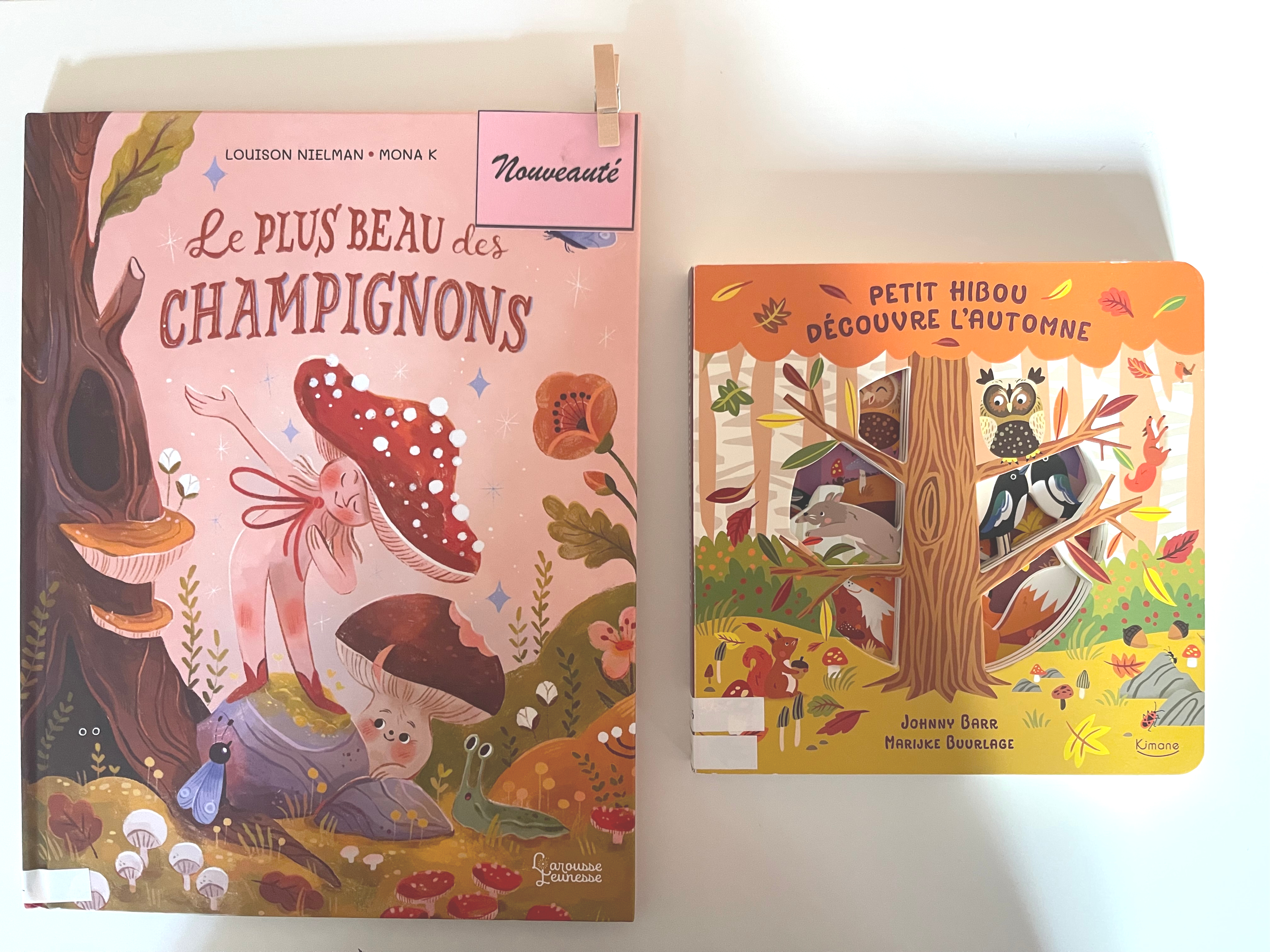 les champignons