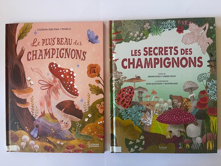les champignons