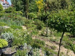 Jardin des Ochettes