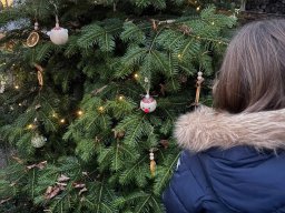 saint-nicolas_sapin